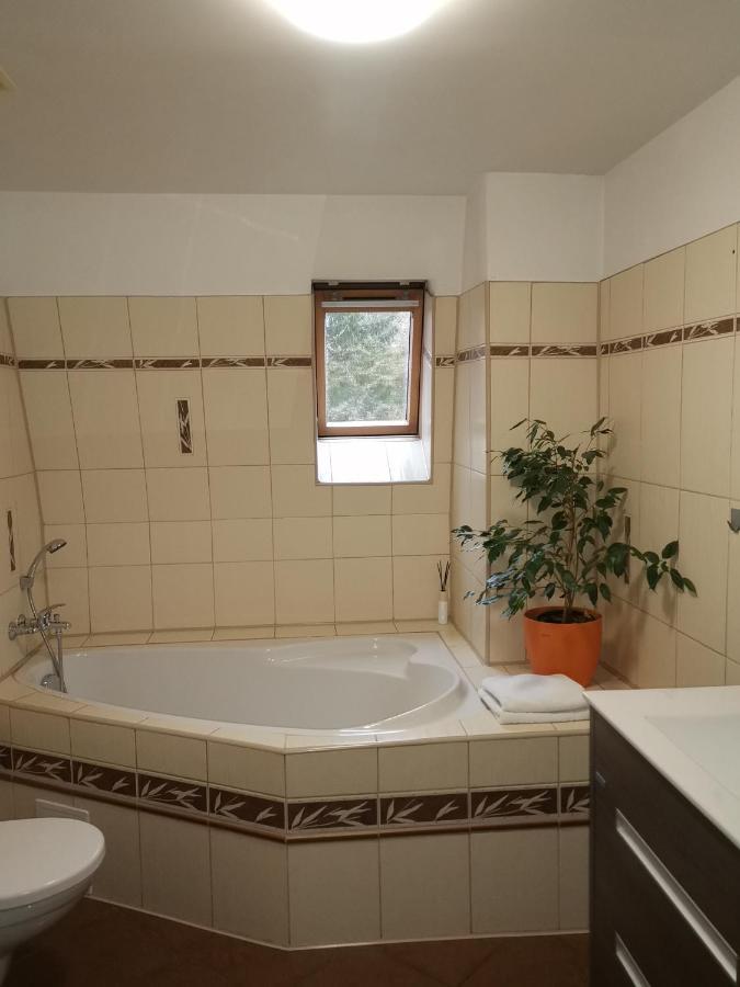 Apartmany Paseky - Jablonec Nad Nisou Ngoại thất bức ảnh